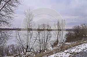 Winter landscape with trees and an ice-covered lake