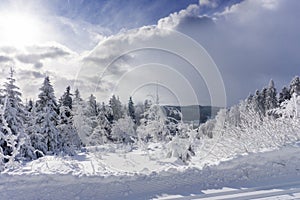 Winter landscape, trees in mountains covered with hoarfrost