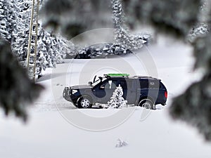 Winter landscape with trees and mountains covered with snow