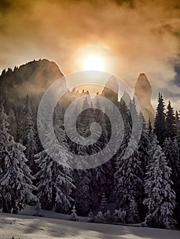 Winter landscape with trees and mountains covered with snow