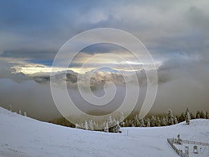 Winter landscape with trees and mountains covered with snow