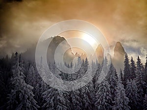 Winter landscape with trees and mountains covered with snow