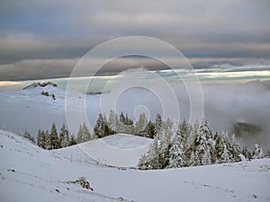 Winter landscape with trees and mountains covered with snow