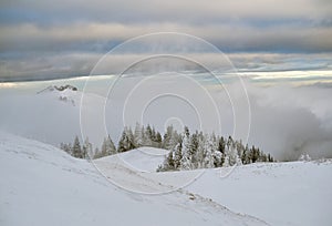 Winter landscape with trees and mountains covered with snow