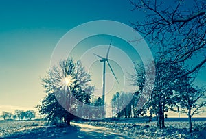 Winter landscape trees snow covered fields windmills