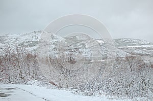 Winter landscape with trees and a snowy mountain in Baixa Limia Serra do Xures Natural Park. Galicia, Spain photo