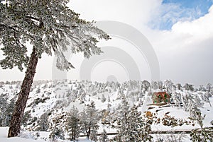 Winter Landscape, Troodos mountains Cyprus