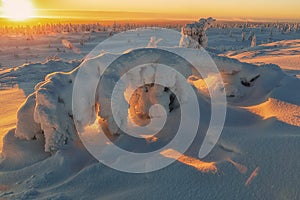 Winter landscape with tykky snow covered trees in winter forest in Finnish Lapland