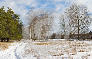Winter landscape in Ukraine