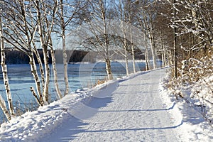 Winter Landscape in UmeÃ¥, Sweden