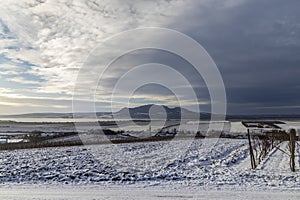 Winter landscape under Palava near Sonberk, South Moravia, Czech Republic photo