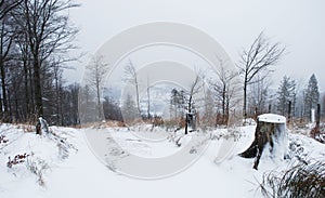 Winter landscape with untouched snow sheet.