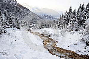 Winter landscape in Val Canali