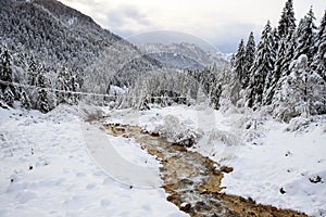 Winter landscape in Val Canali photo