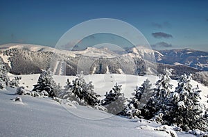 Zimná krajina vo Veľkej Fatre s borovicami Slovensko