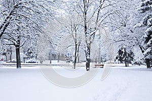 Winter landscape vertickal image with city street cars