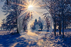 Winter landscape view fields forests covered snow rays sun