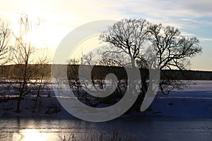 Winter landscape with a view of a frozen river and trees on the shore in the evening