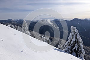 Zimní ráno ve Velké Fatře, Turiec, Slovensko