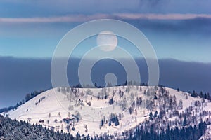 Winter landscape - view of the snowy forested mountains in the evening under the moon