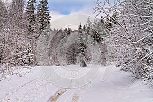 Winter landscape - view of the snowy road with a quad bike in the winter mountain forest