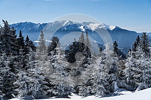 Winter landscape, viewpoint to Bucegi, Postavaru Mountains, Romania