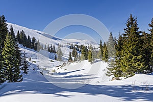 Winter landscape on Vitosha