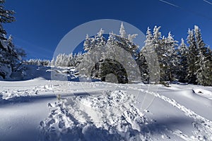 Winter landscape of Vitosha Mountain, Bulgaria