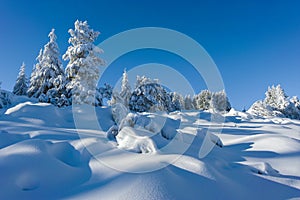 Winter landscape of Vitosha Mountain, Bulgaria