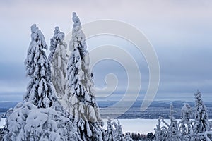 Winter landscape from Vuokatti, Kainuu, Finland