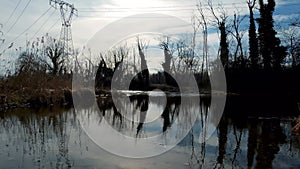 Winter Landscape on the Water