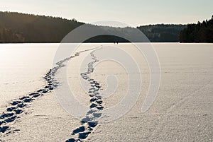 Winter landscape on the west coast in Sweden photo