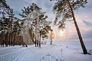 Winter landscape, Western Siberia