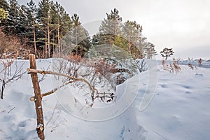 Winter landscape, Western Siberia