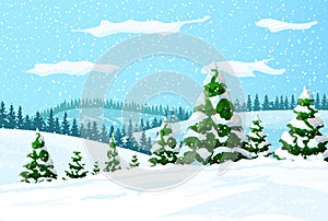 Winter landscape with white pine trees on snow