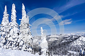 Winter Landscape in Whitefish, Montana photo