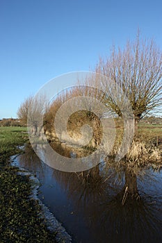 Winter Landscape with Willow Trees and Reflections.
