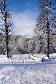 Winter Landscape in Wiltshire photo