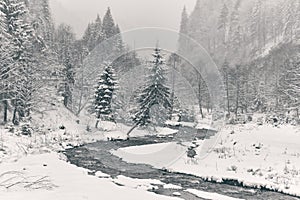 Winter landscape with a winding river and fir trees