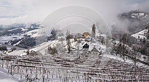 Winter landscape with wineyards Austria