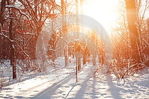 Winter landscape. Winter december  wonderland scene. Christmas, New Year postcard design. Wintertime magic