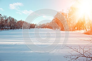 Winter landscape. Winter december  wonderland scene. Christmas, New Year postcard design. Wintertime magic