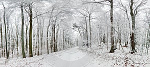 Winter landscape. Winter road and trees covered with snow