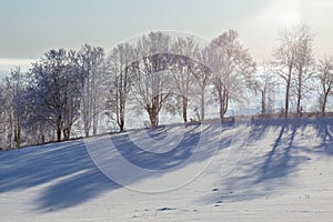 Winter landscape