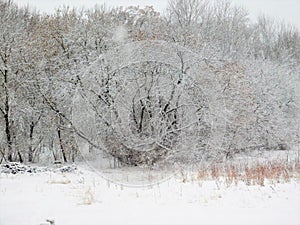 This is  a winter landscape in Wisconsin