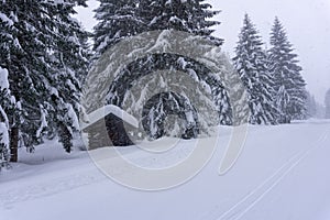 Winter landscape with wooden chalet by the road at the edge of the forest. Fir forest covered with snow.