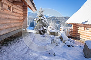 Winter landscape with wooden house and snowy Christmas trees in mountain valley. Skiing resort in mountains. Wintry nature