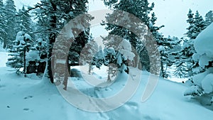 Winter landscape wooden house snowy mountain forest in snowstorm. Road for snowmobiles among snow-covered firs. Winter