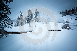 Winter landscape, Yellowstone