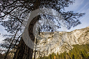 Winter landscape in Yosemite National Park, Unites States Of America